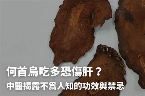 制首烏功效|何首烏秋冬進補怎麼吃？醫列功效禁忌＋何首烏藥膳做。